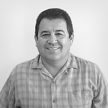 David Vallejos